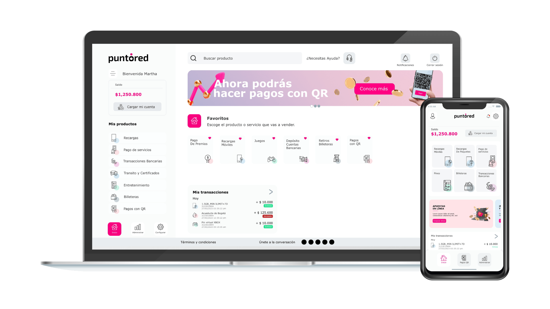 _1-image-puntored-ux-ui-project